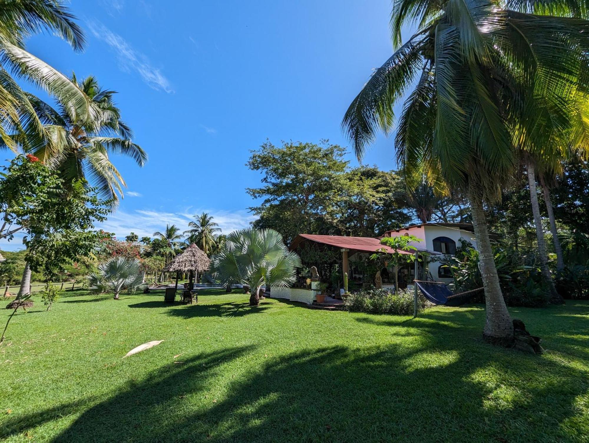 Hotel Paraiso del Cocodrilo Sámara Exterior foto